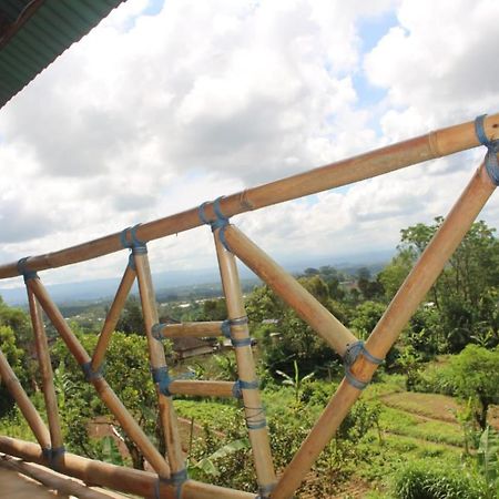 Bali Tree House Pelangi Apartman Bedugul Kültér fotó