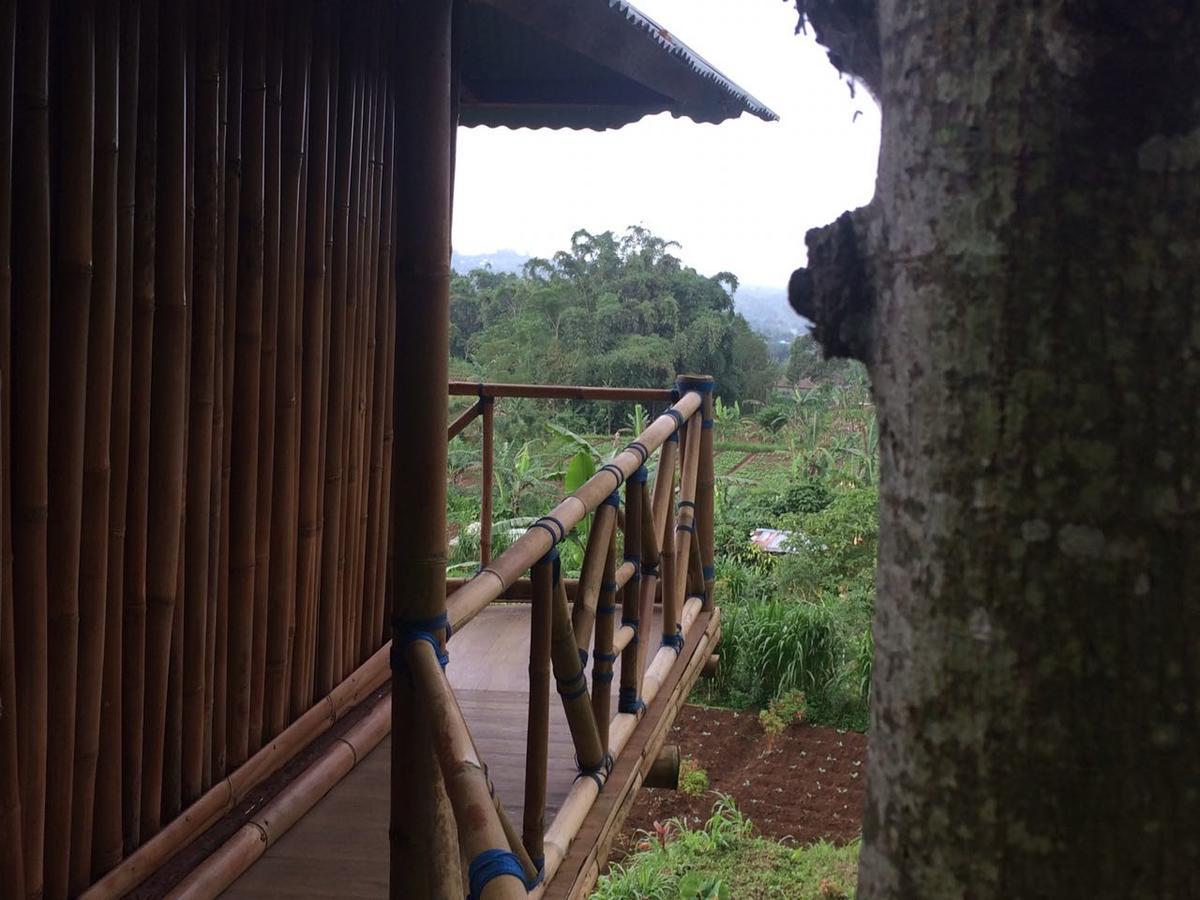 Bali Tree House Pelangi Apartman Bedugul Kültér fotó