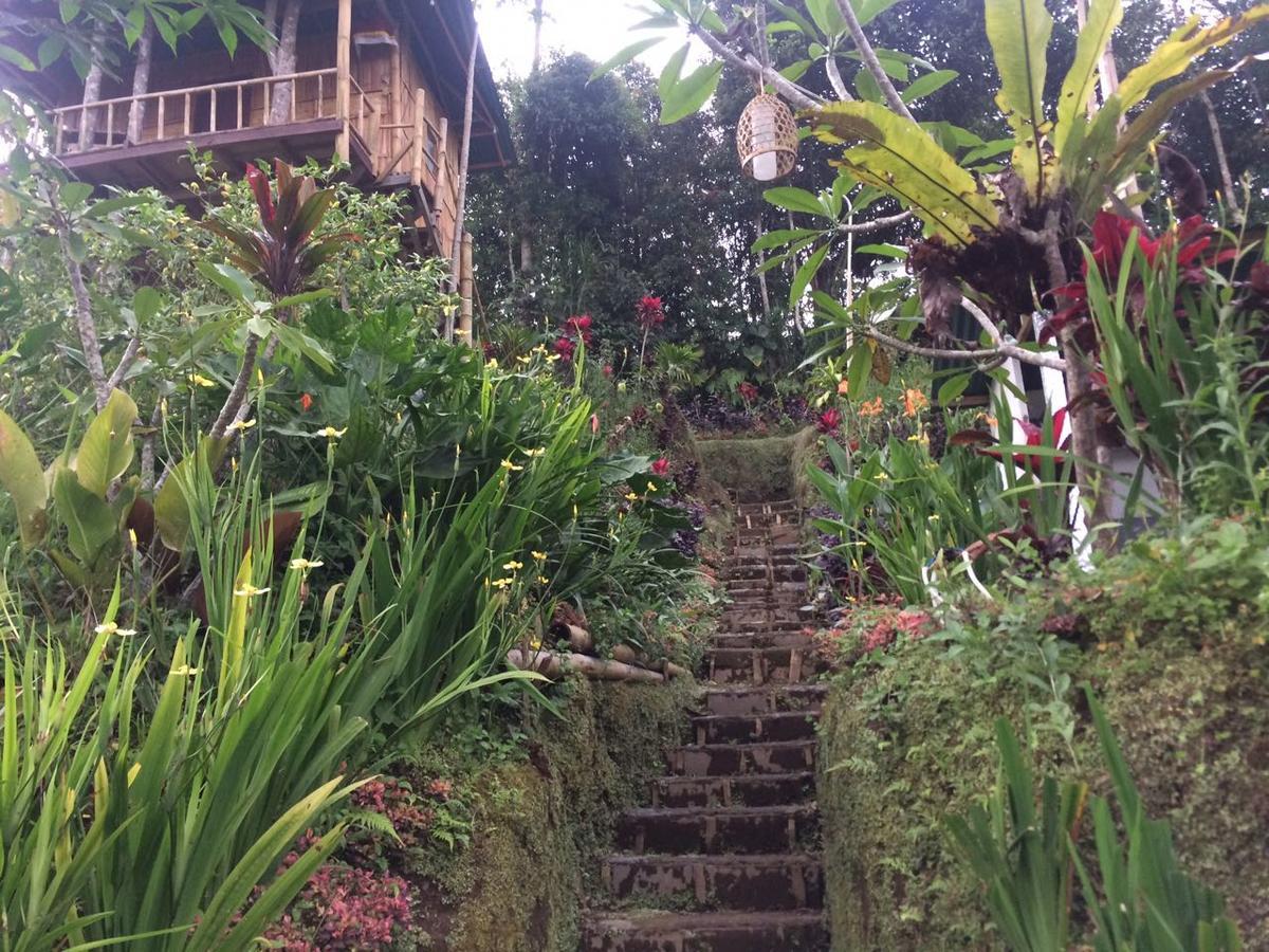 Bali Tree House Pelangi Apartman Bedugul Kültér fotó