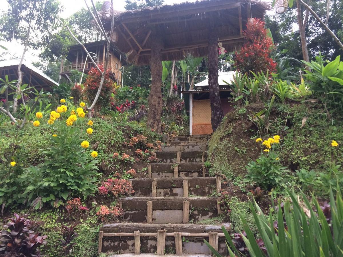 Bali Tree House Pelangi Apartman Bedugul Kültér fotó