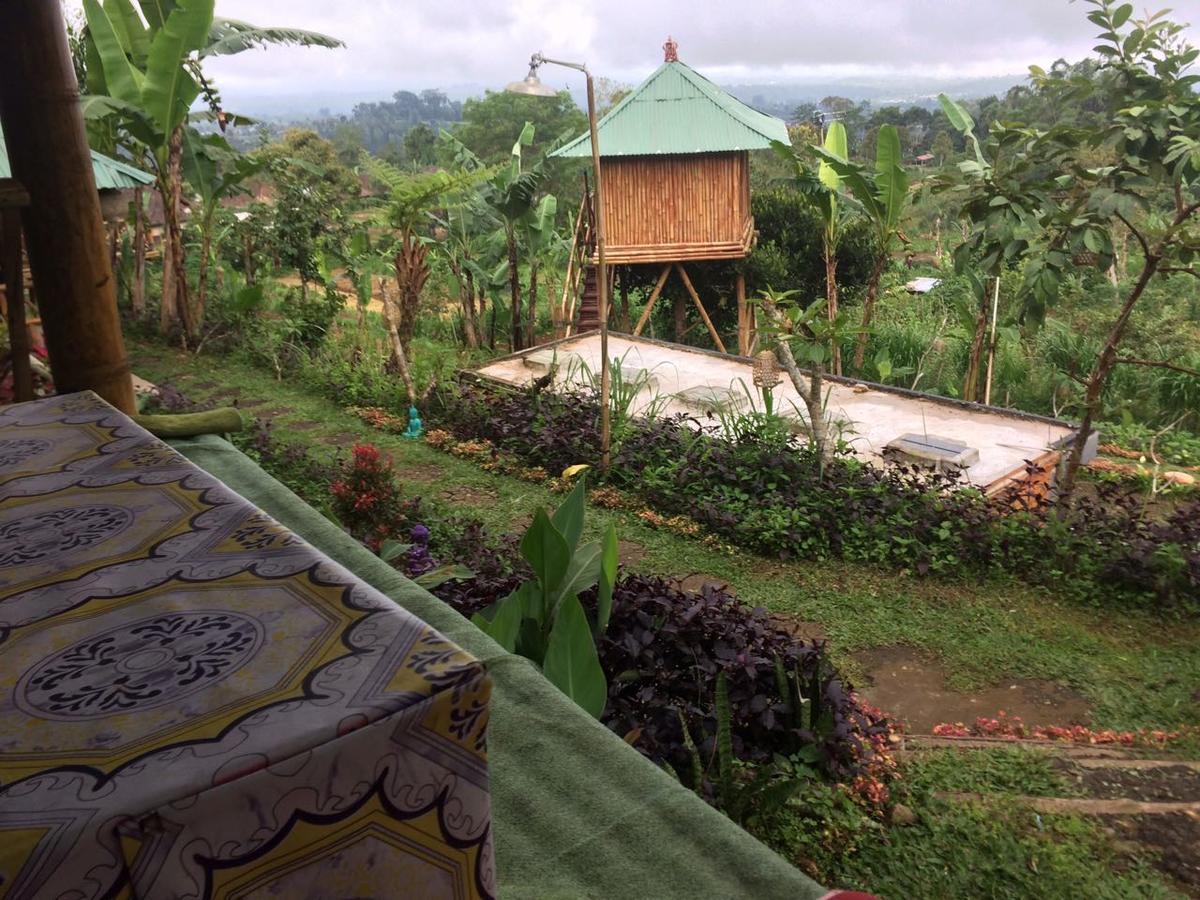 Bali Tree House Pelangi Apartman Bedugul Kültér fotó