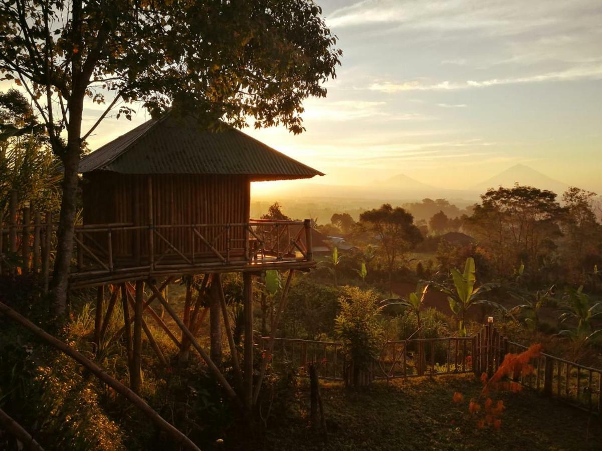 Bali Tree House Pelangi Apartman Bedugul Kültér fotó
