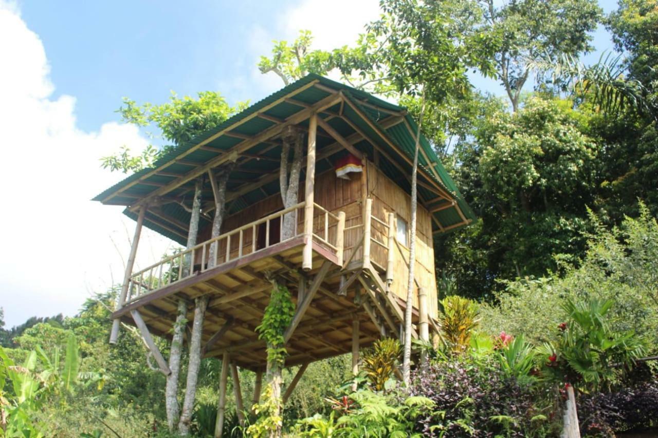 Bali Tree House Pelangi Apartman Bedugul Kültér fotó