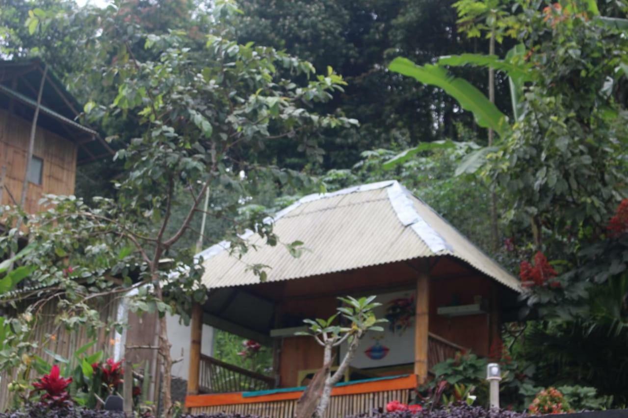 Bali Tree House Pelangi Apartman Bedugul Kültér fotó