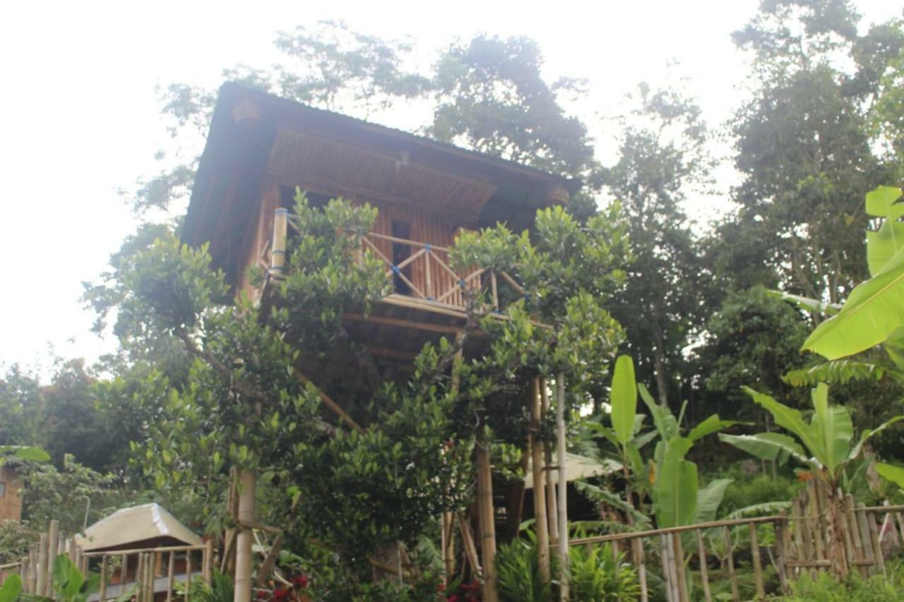 Bali Tree House Pelangi Apartman Bedugul Kültér fotó
