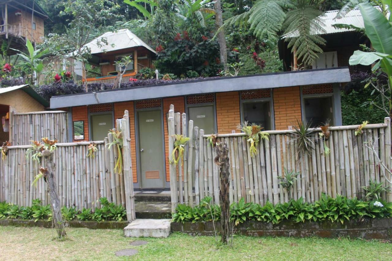 Bali Tree House Pelangi Apartman Bedugul Kültér fotó