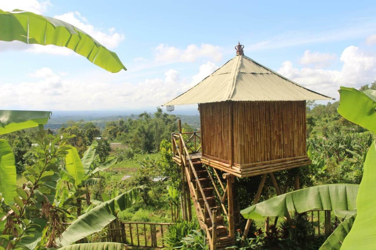 Bali Tree House Pelangi Apartman Bedugul Kültér fotó