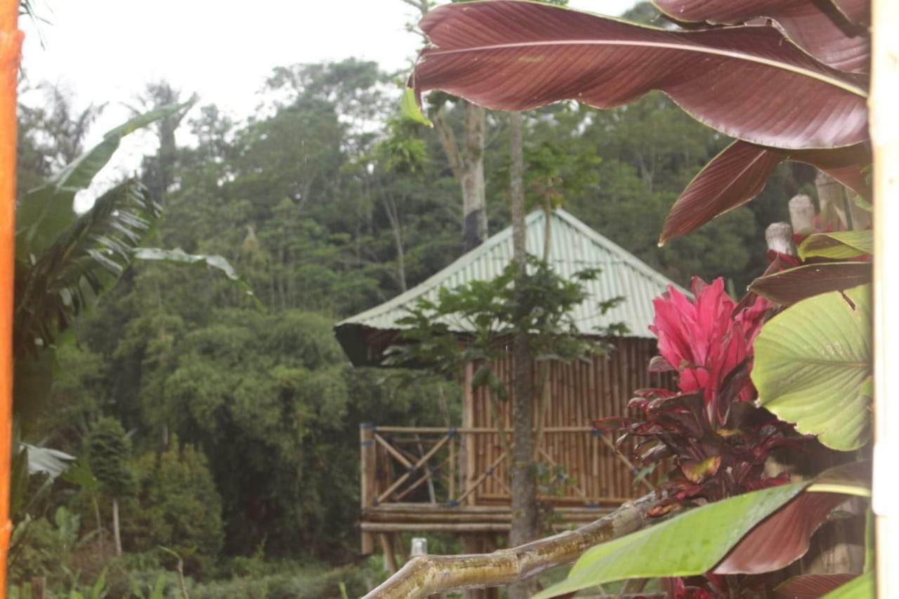 Bali Tree House Pelangi Apartman Bedugul Kültér fotó