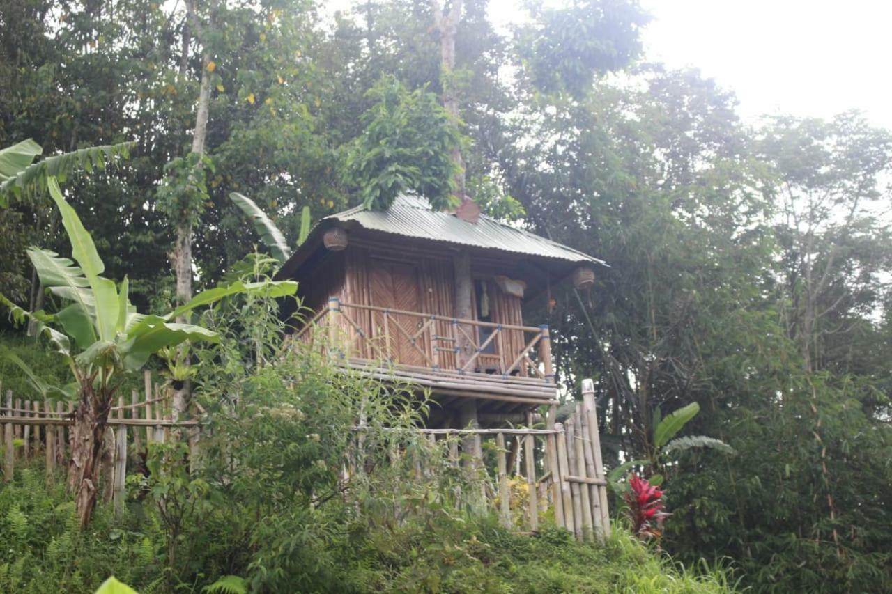 Bali Tree House Pelangi Apartman Bedugul Kültér fotó