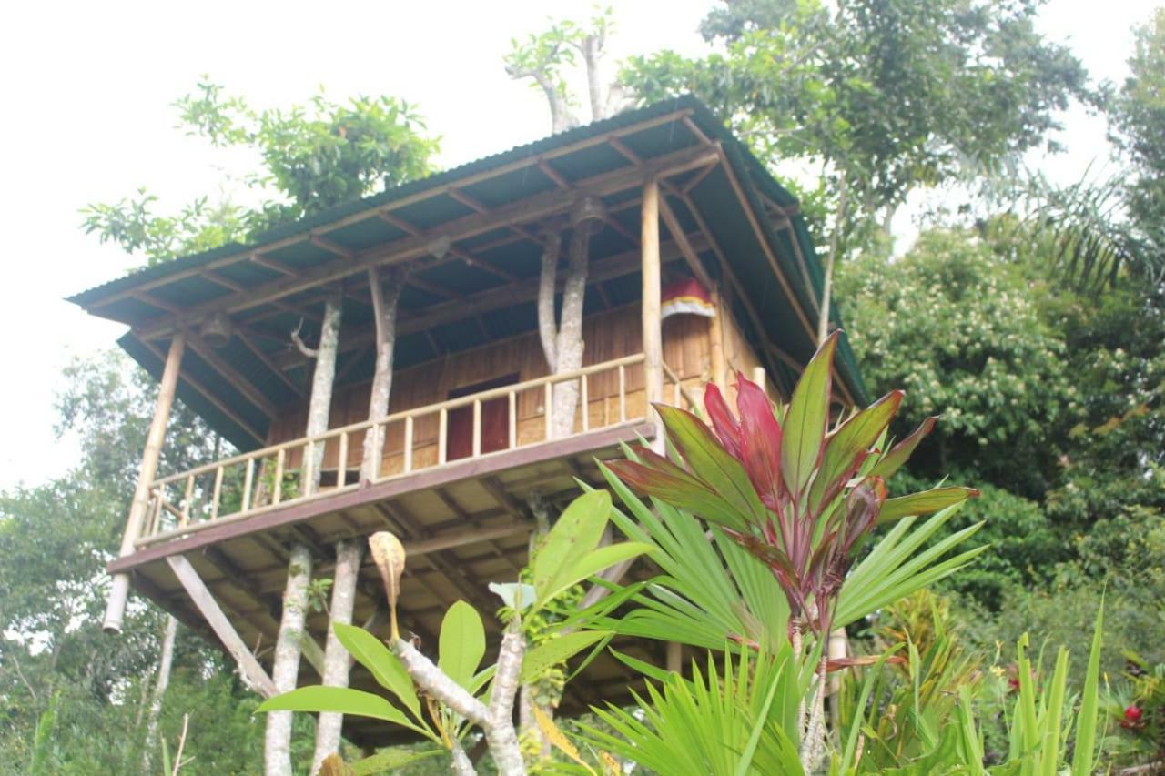 Bali Tree House Pelangi Apartman Bedugul Kültér fotó