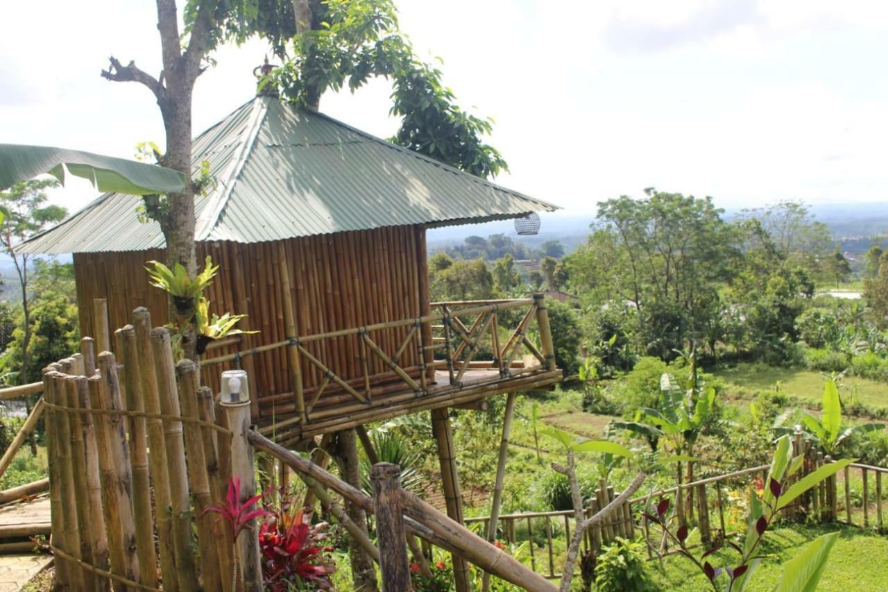 Bali Tree House Pelangi Apartman Bedugul Kültér fotó