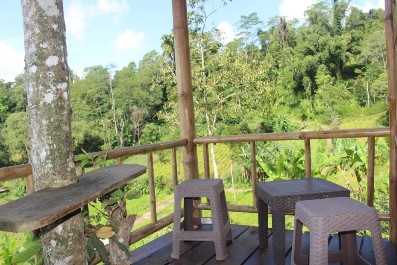 Bali Tree House Pelangi Apartman Bedugul Kültér fotó
