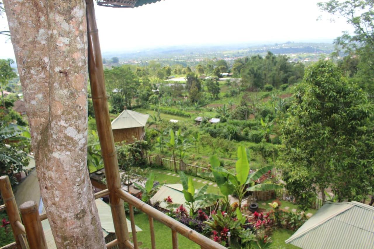Bali Tree House Pelangi Apartman Bedugul Kültér fotó