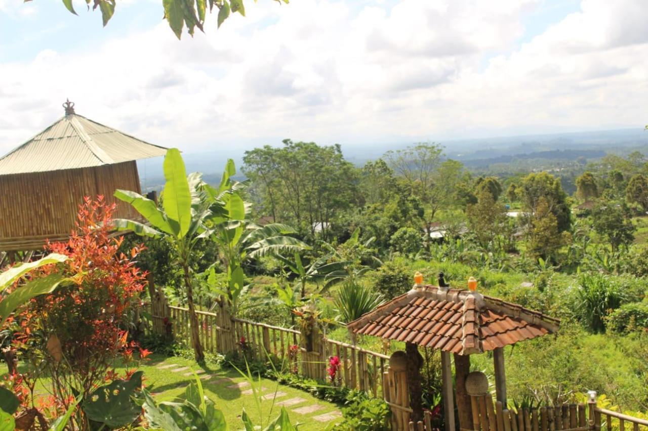 Bali Tree House Pelangi Apartman Bedugul Kültér fotó