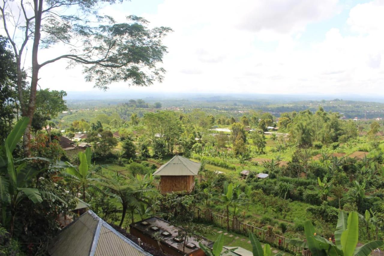 Bali Tree House Pelangi Apartman Bedugul Kültér fotó