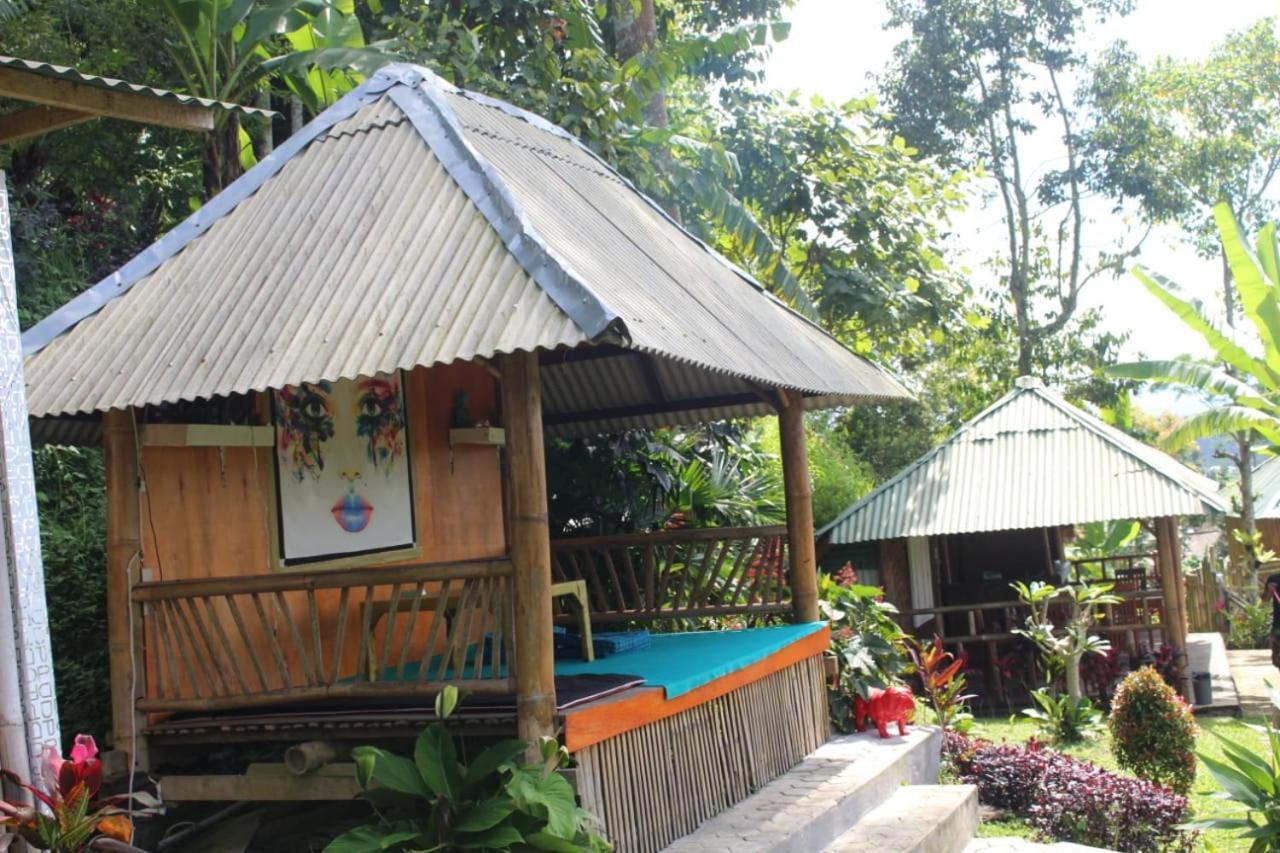Bali Tree House Pelangi Apartman Bedugul Kültér fotó