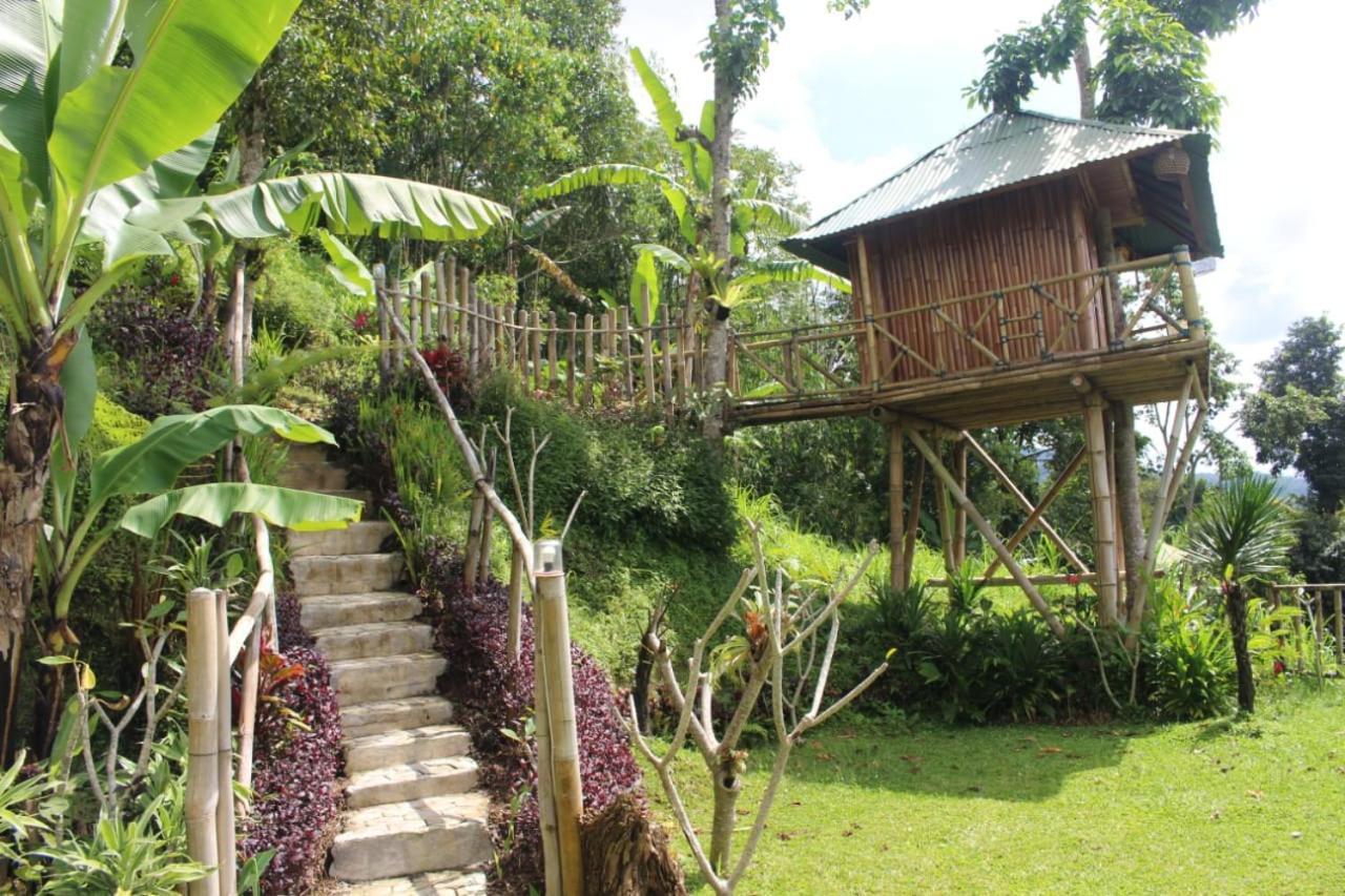 Bali Tree House Pelangi Apartman Bedugul Kültér fotó
