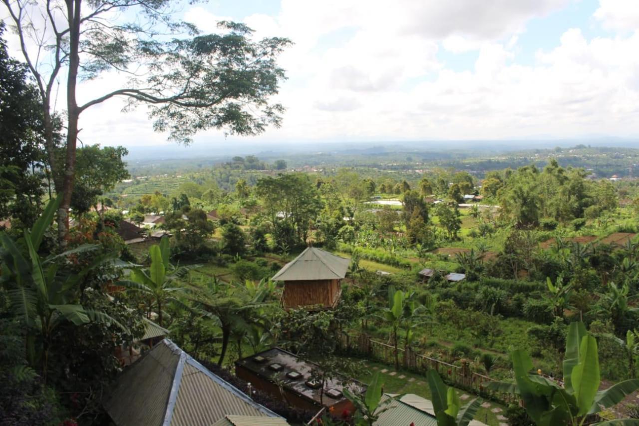 Bali Tree House Pelangi Apartman Bedugul Kültér fotó
