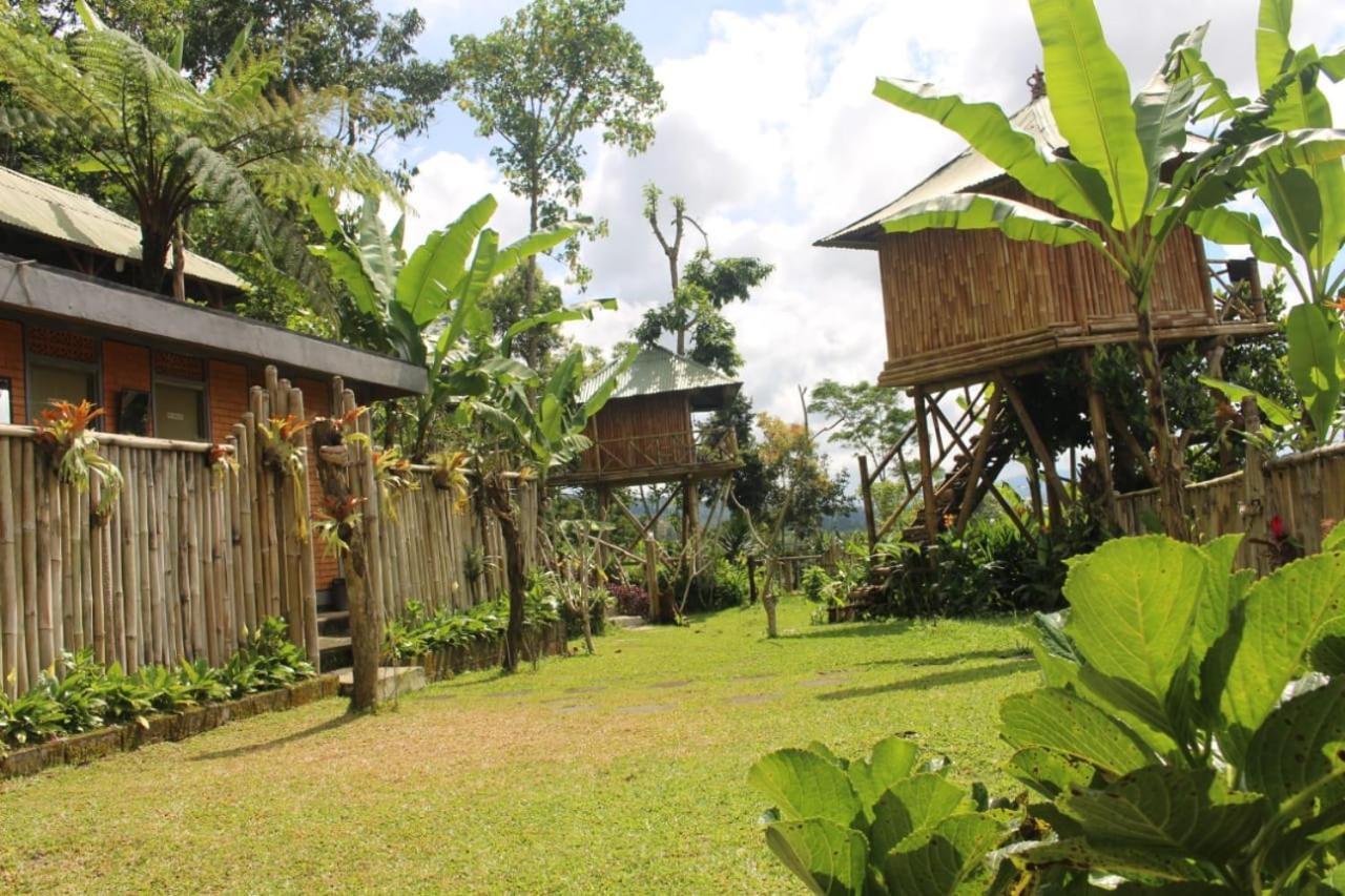 Bali Tree House Pelangi Apartman Bedugul Kültér fotó