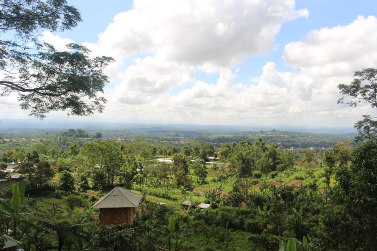Bali Tree House Pelangi Apartman Bedugul Kültér fotó
