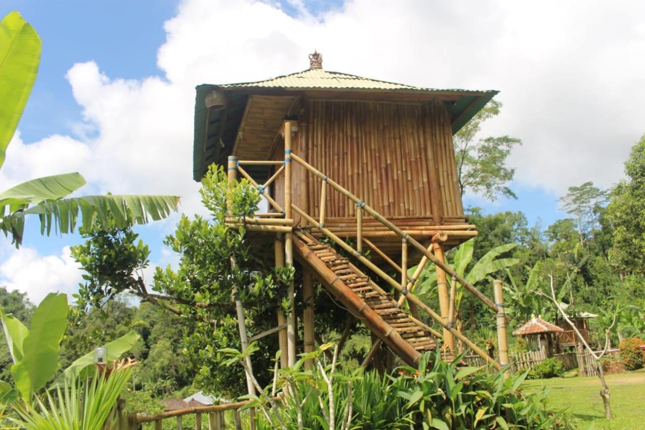 Bali Tree House Pelangi Apartman Bedugul Kültér fotó