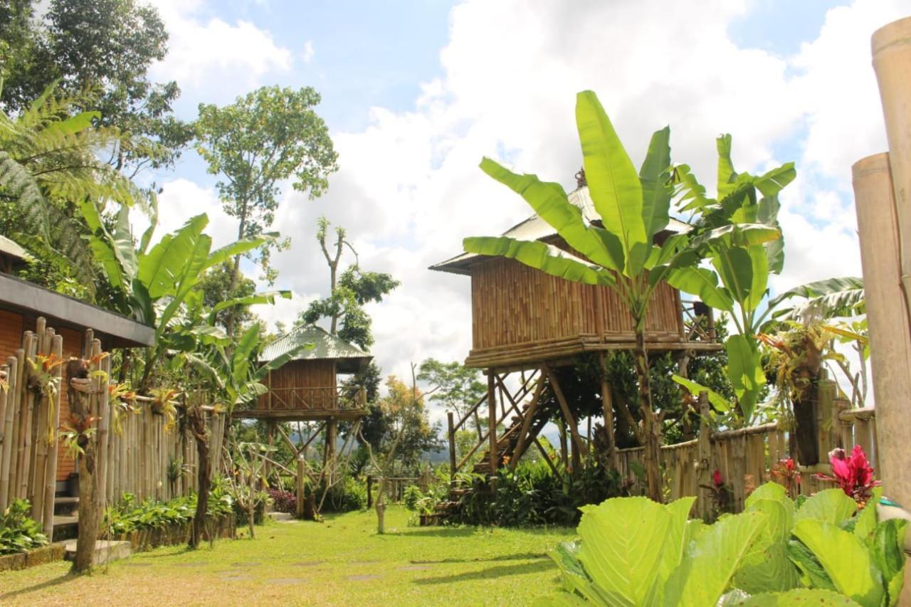 Bali Tree House Pelangi Apartman Bedugul Kültér fotó