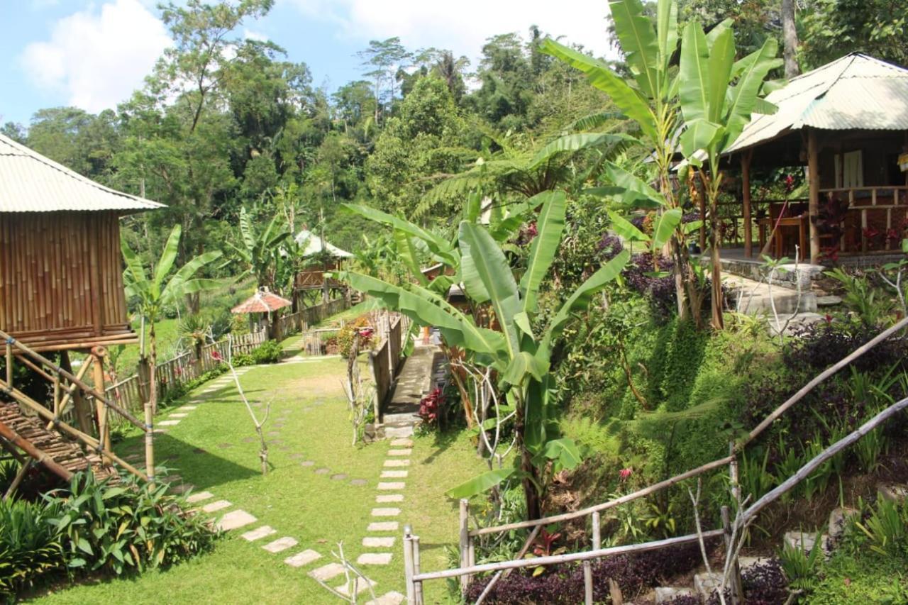 Bali Tree House Pelangi Apartman Bedugul Kültér fotó