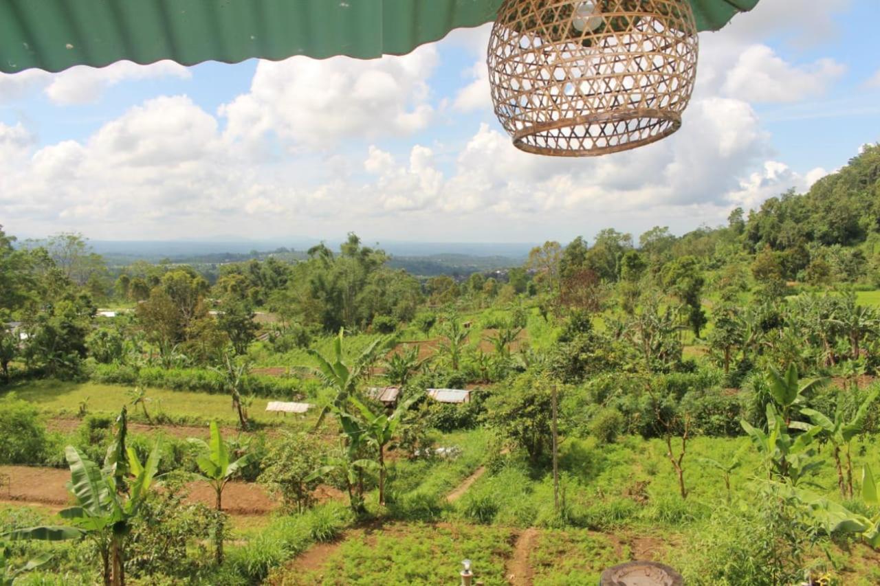 Bali Tree House Pelangi Apartman Bedugul Kültér fotó