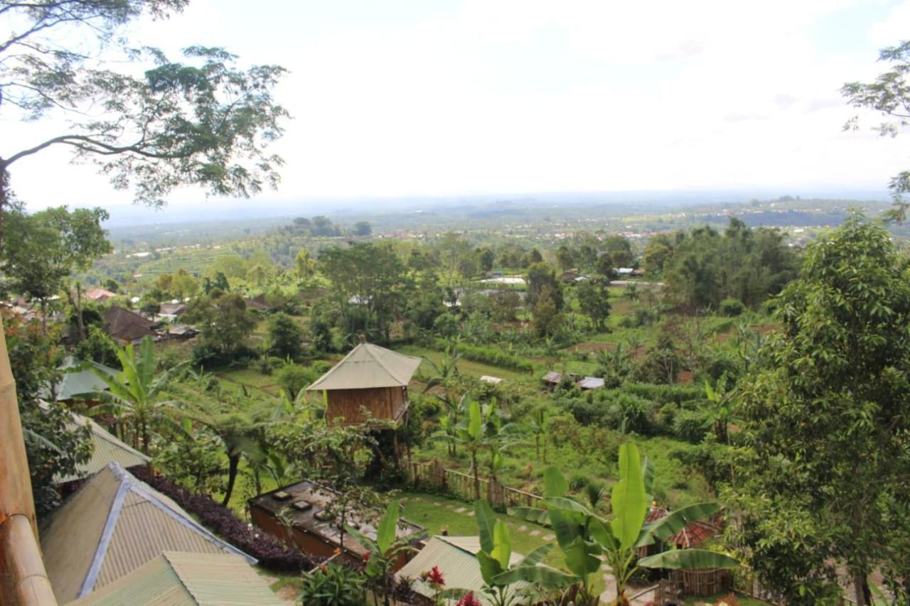 Bali Tree House Pelangi Apartman Bedugul Kültér fotó