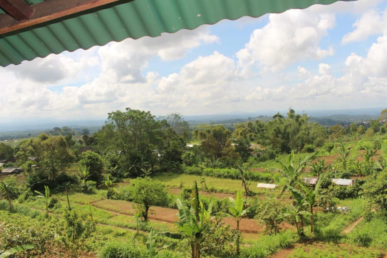 Bali Tree House Pelangi Apartman Bedugul Kültér fotó