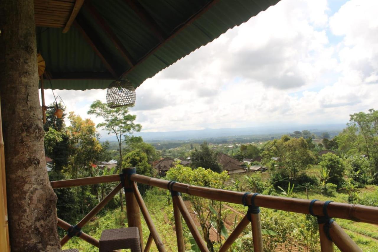 Bali Tree House Pelangi Apartman Bedugul Kültér fotó
