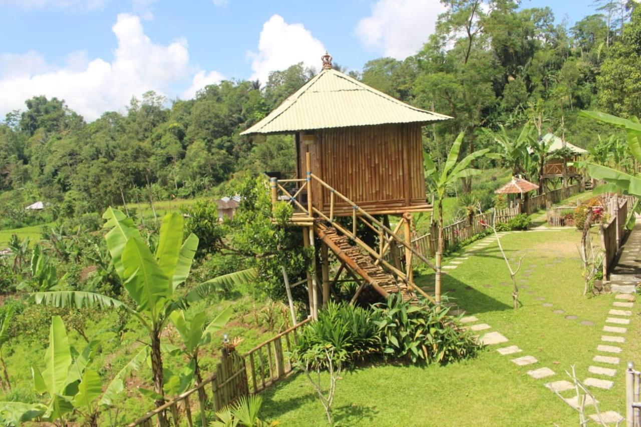 Bali Tree House Pelangi Apartman Bedugul Kültér fotó