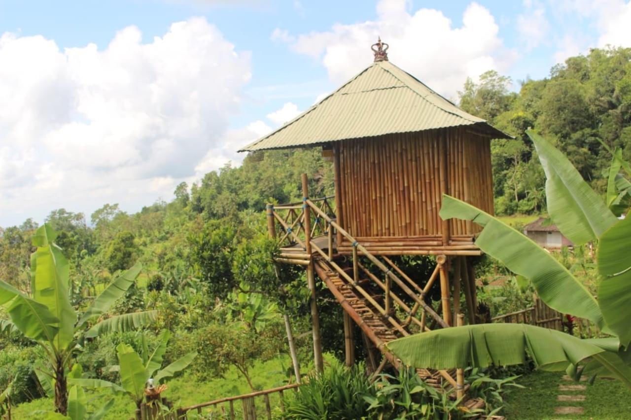 Bali Tree House Pelangi Apartman Bedugul Kültér fotó