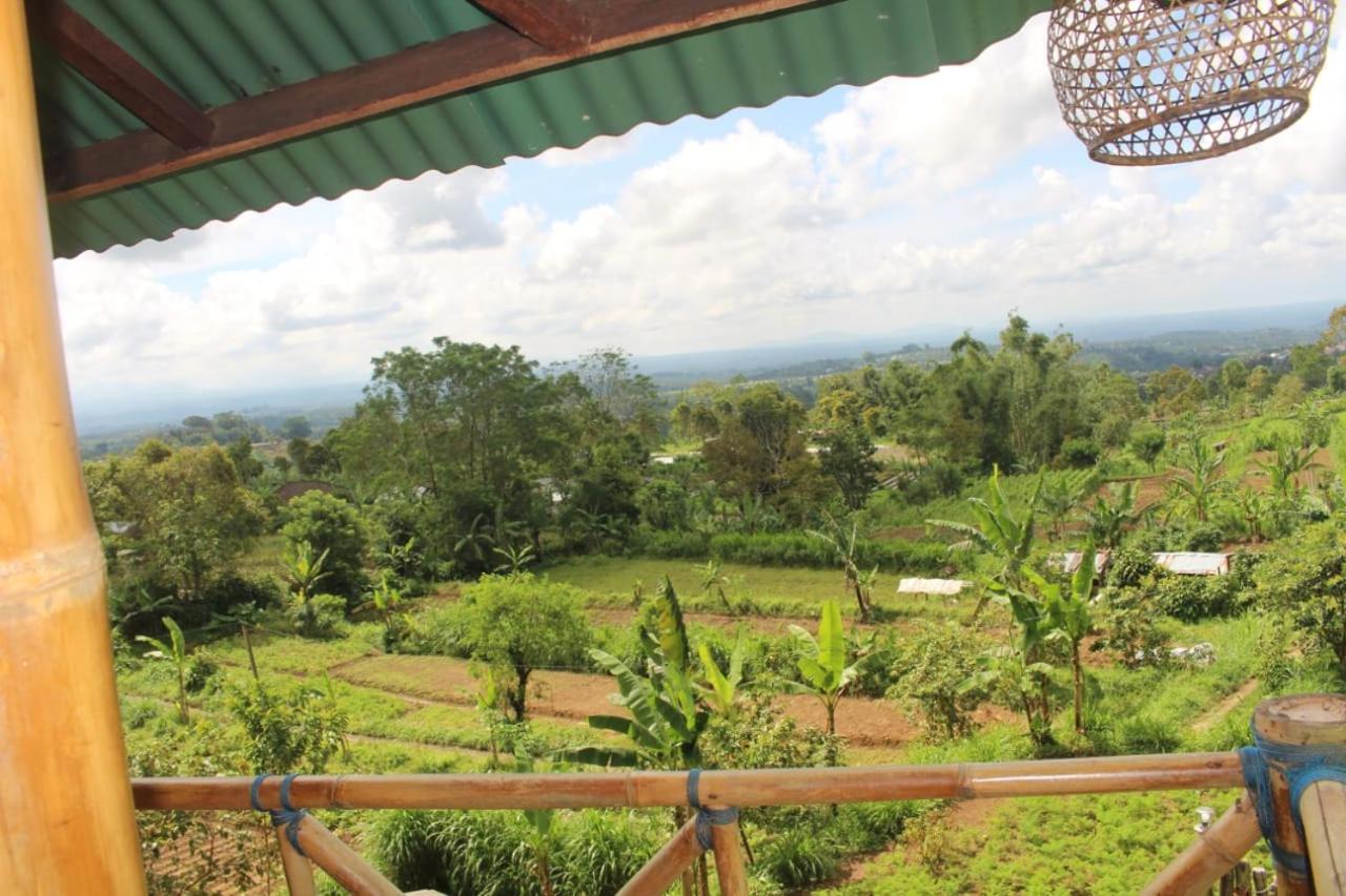 Bali Tree House Pelangi Apartman Bedugul Kültér fotó