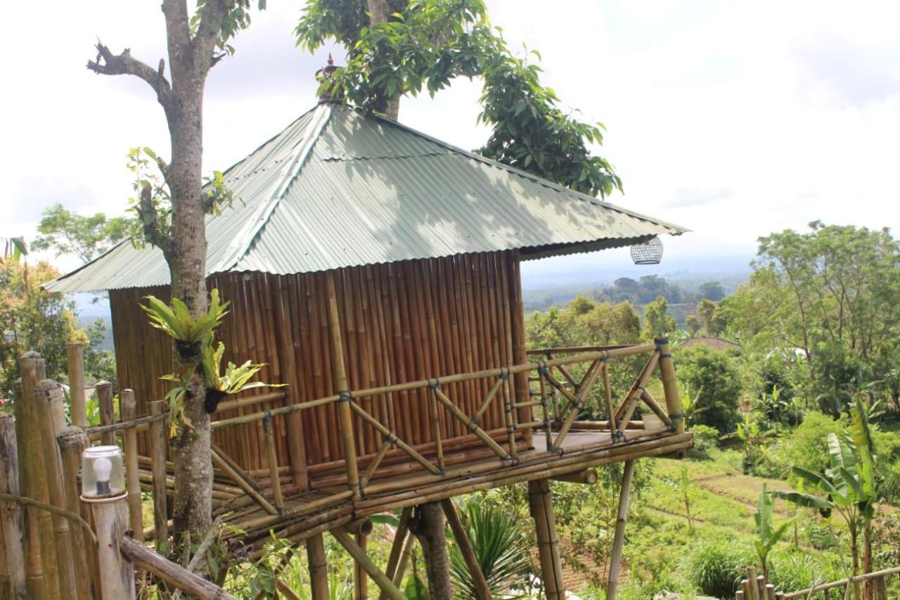 Bali Tree House Pelangi Apartman Bedugul Kültér fotó