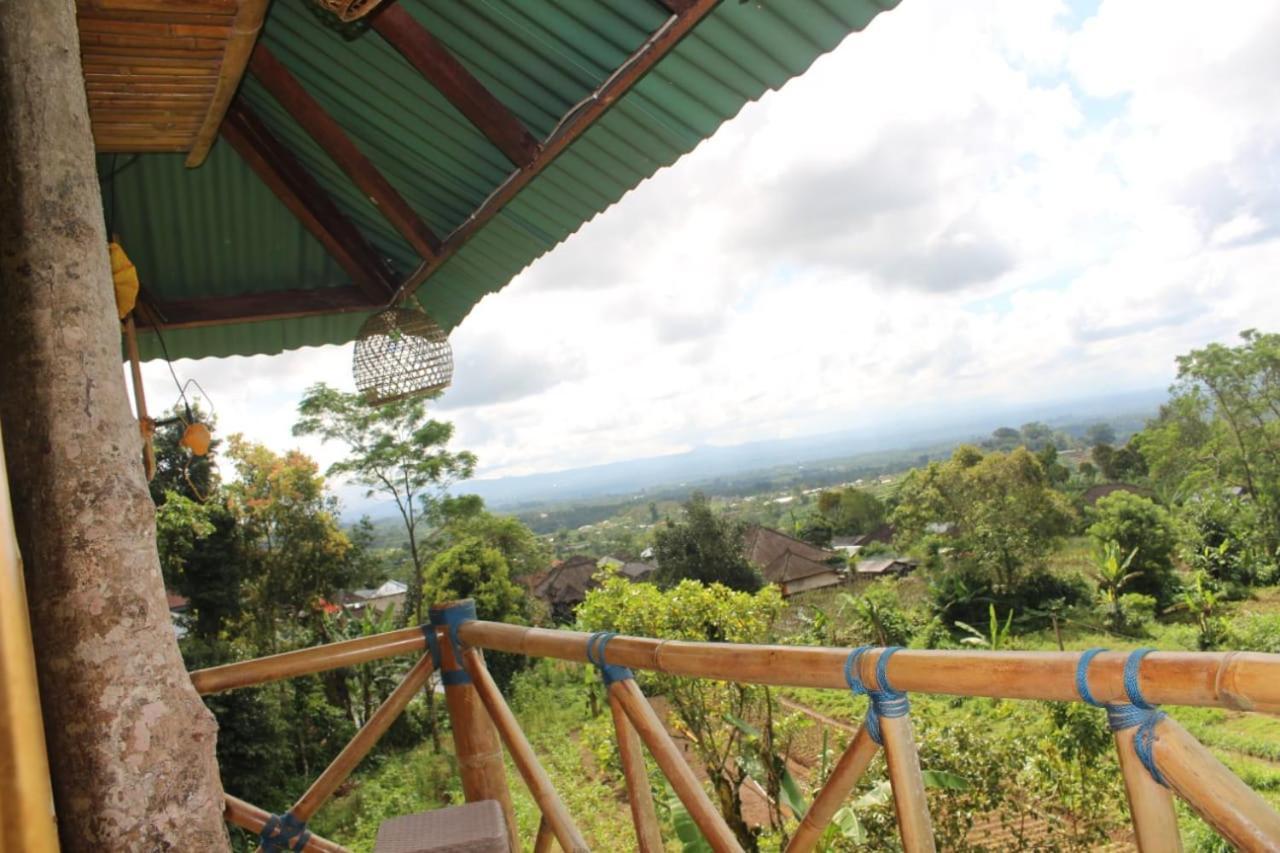 Bali Tree House Pelangi Apartman Bedugul Kültér fotó