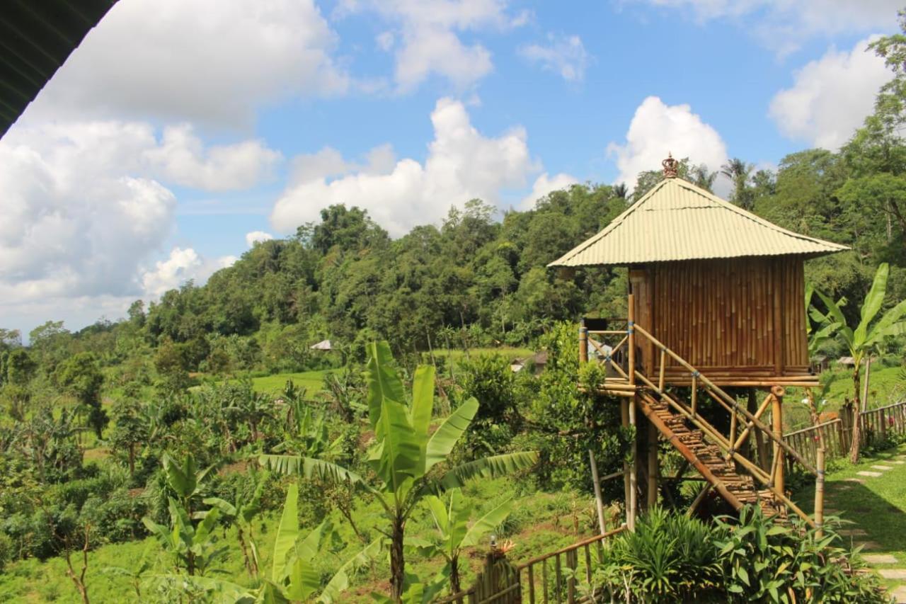 Bali Tree House Pelangi Apartman Bedugul Kültér fotó