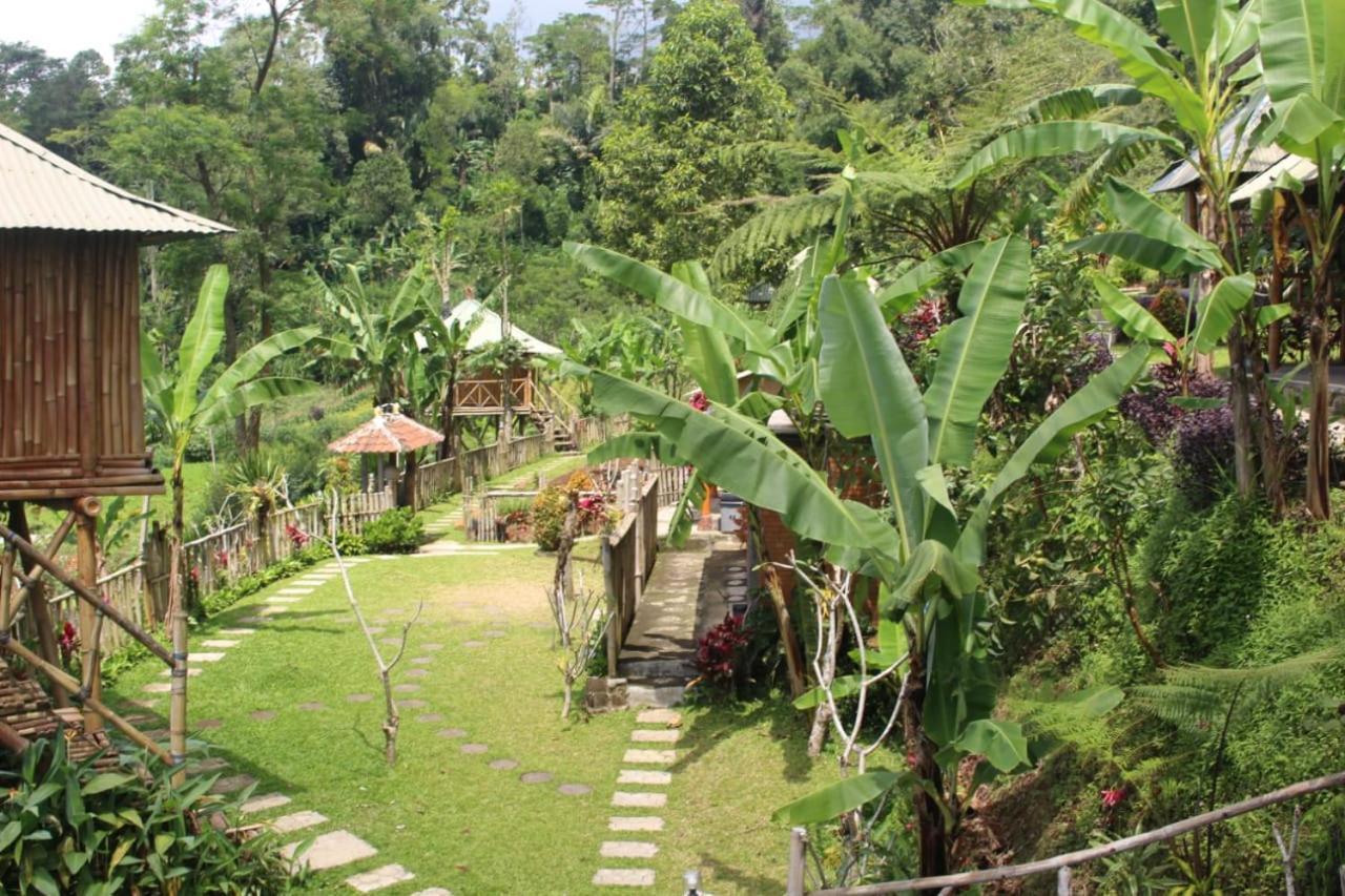 Bali Tree House Pelangi Apartman Bedugul Kültér fotó